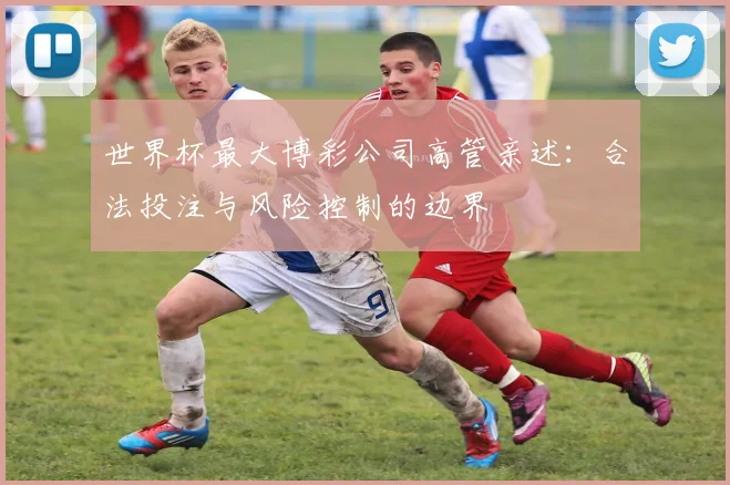 世界杯最大博彩公司高管亲述：合法投注与风险控制的边界