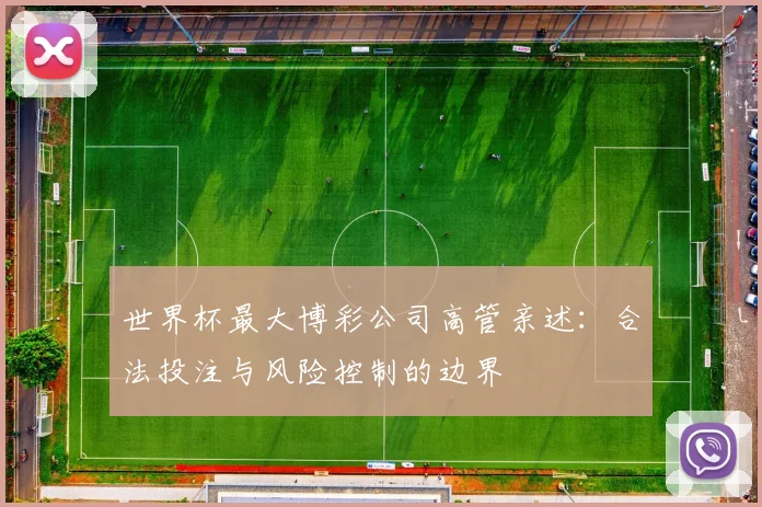 世界杯最大博彩公司高管亲述：合法投注与风险控制的边界