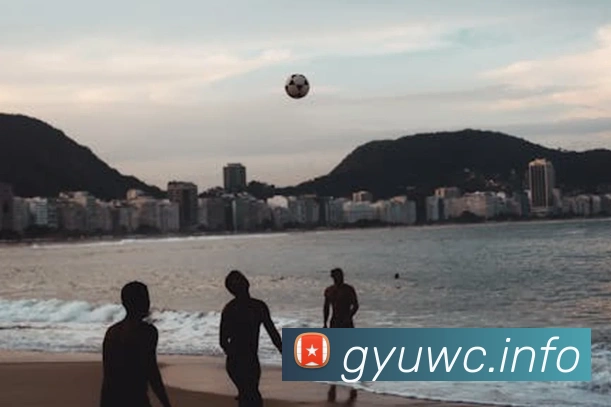 九游app网页版品牌故事