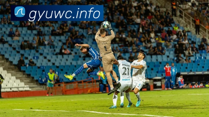 九游app网页版服务体系